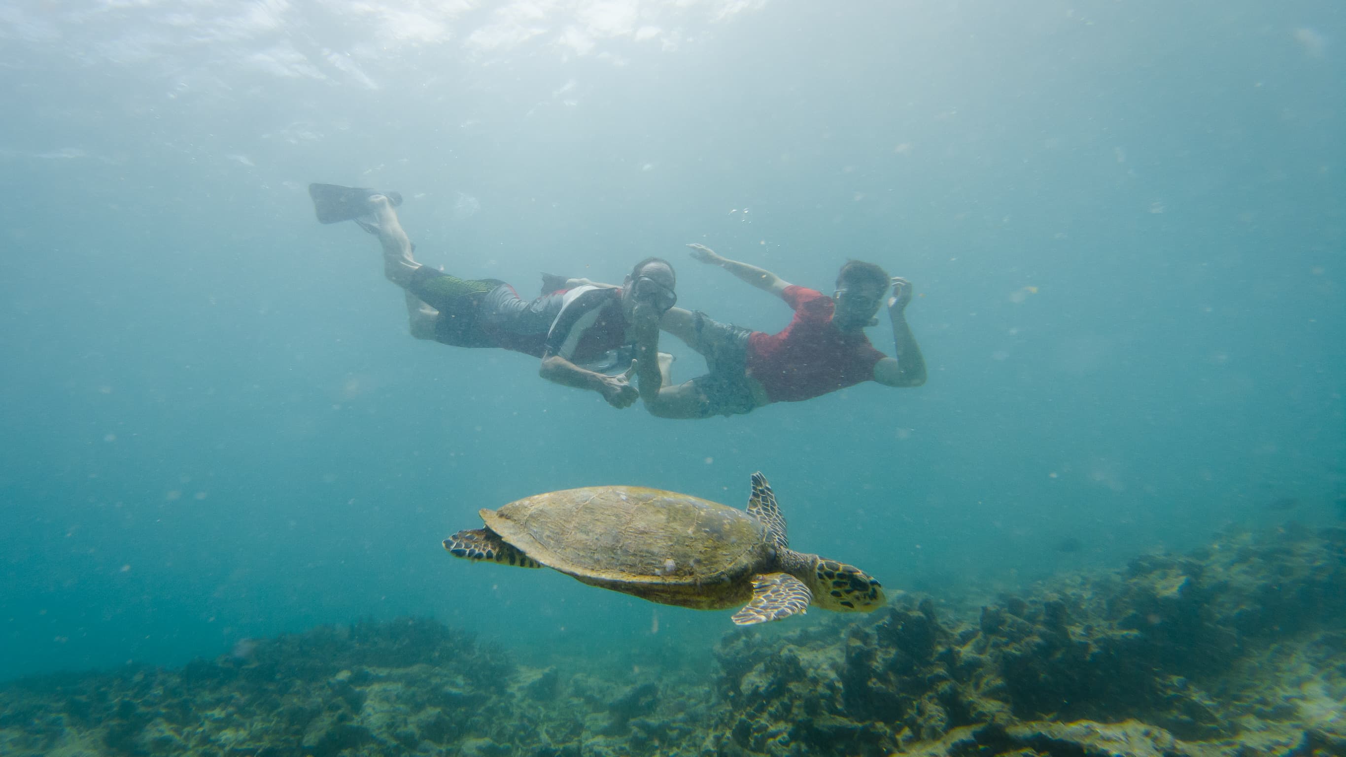 Snorkeling excursion